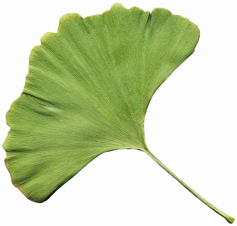 La crema Zxcvbnmqwert contiene l'estratto di biloba Gingco