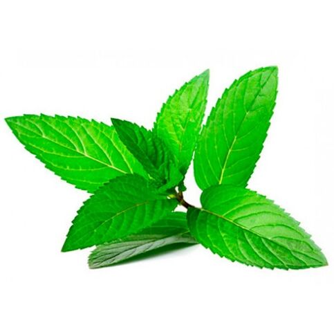 olio di menta nella crema zxcvbnmqwort